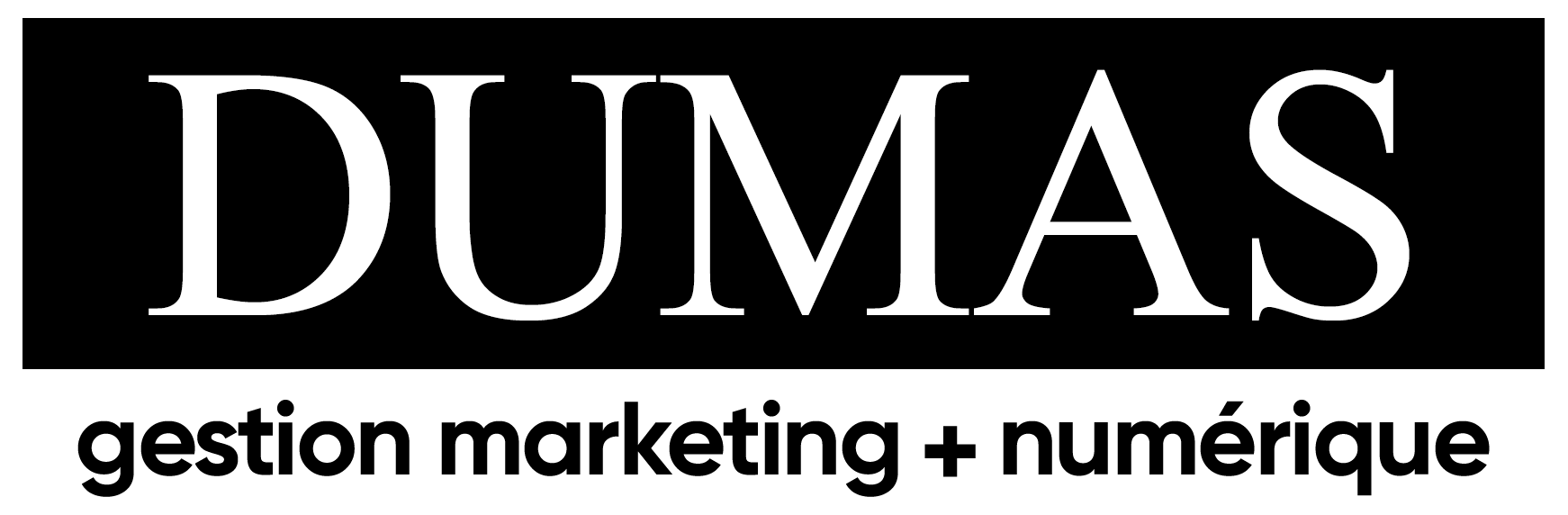 Dumas Marketing Gestion Numerique Mise en marché